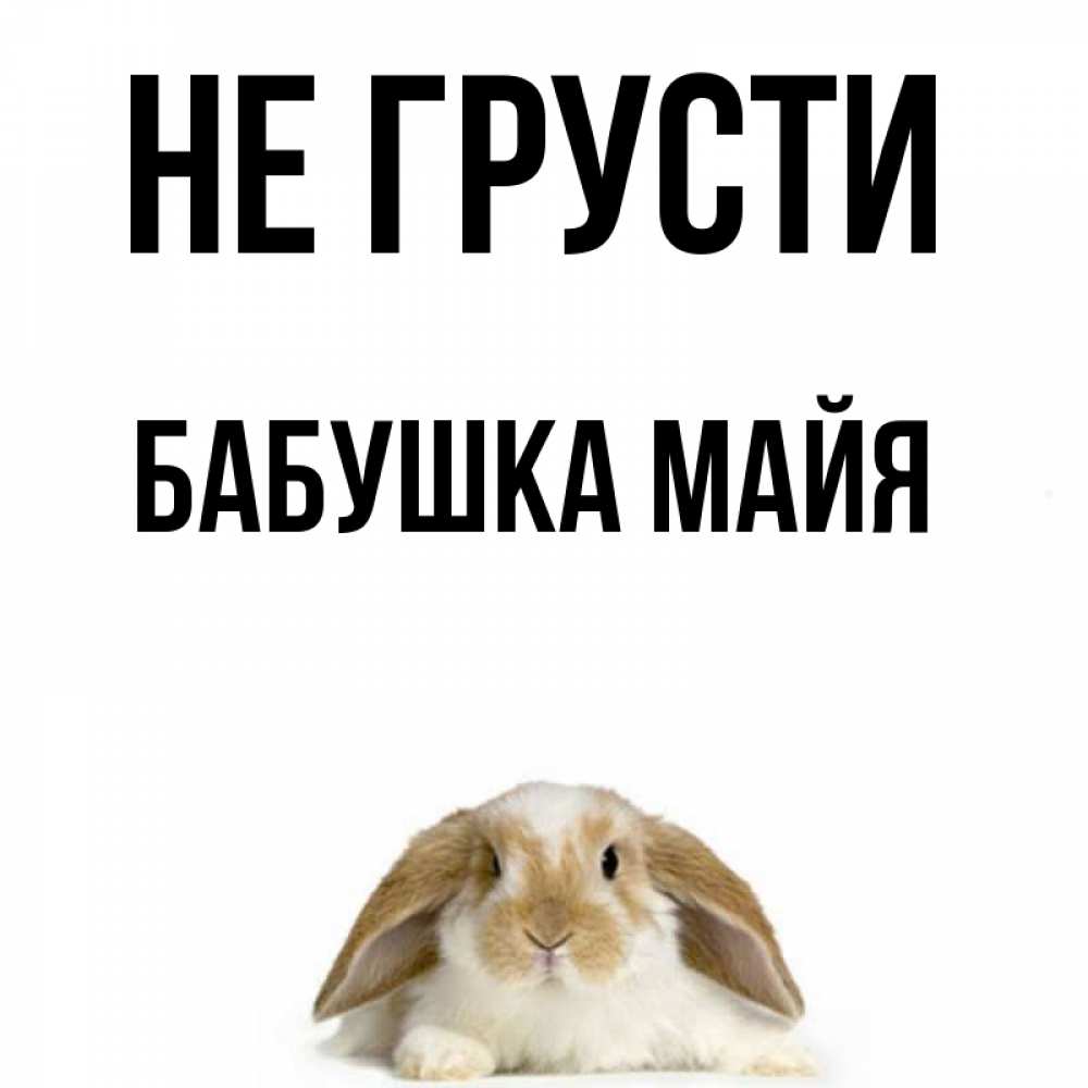 Открытка на каждый день с именем, Бабушка-Майя Не грусти коричнево белый заяц с большими ушками Прикольная открытка с пожеланием онлайн скачать бесплатно 