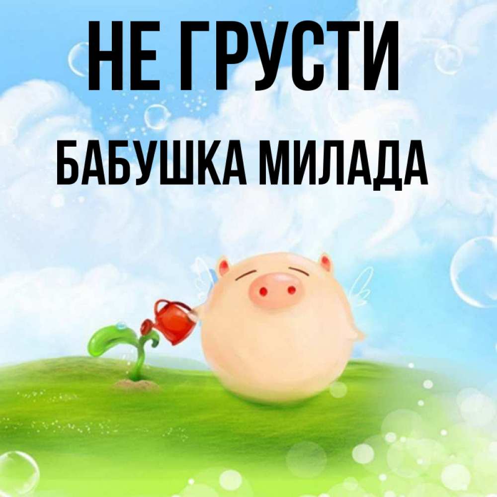Открытка на каждый день с именем, Бабушка-Милада Не грусти поливает цветок порося Прикольная открытка с пожеланием онлайн скачать бесплатно 