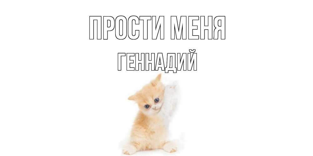 Открытка на каждый день с именем, Геннадий Прости меня кот Прикольная открытка с пожеланием онлайн скачать бесплатно 
