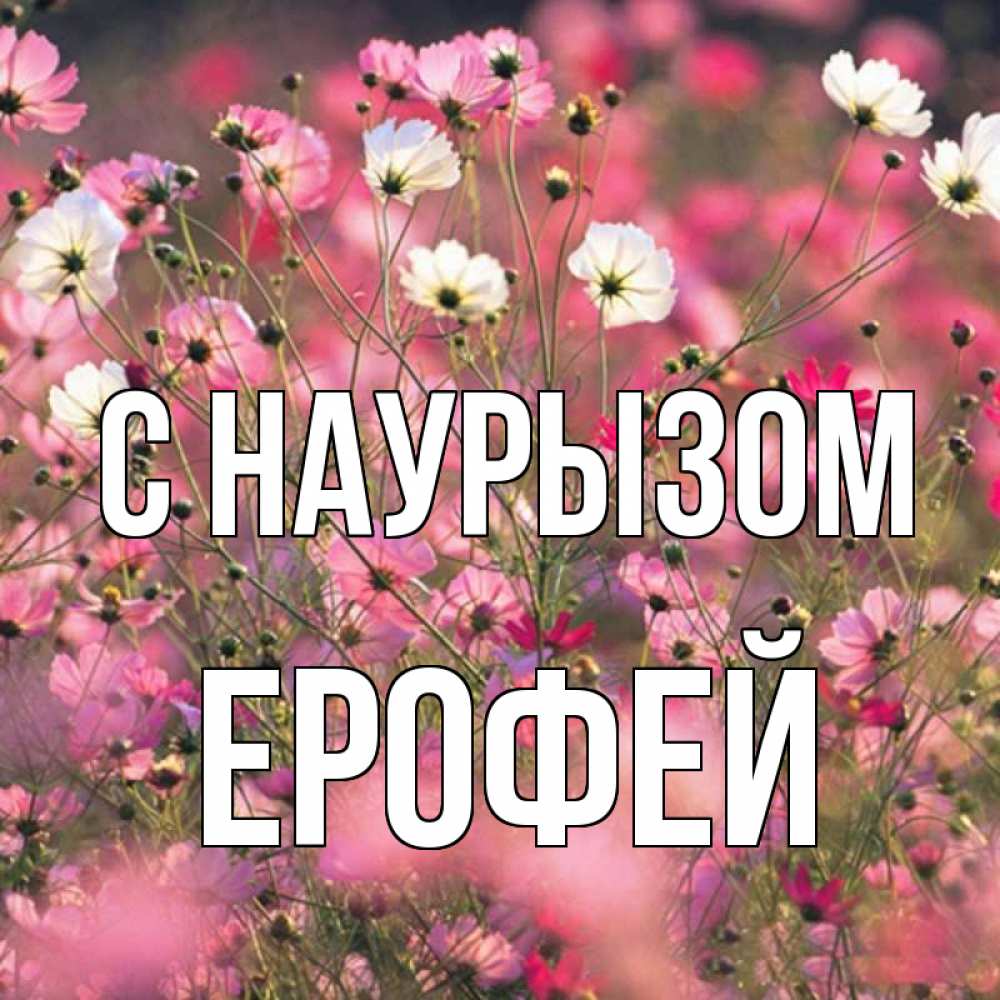 Открытка на каждый день с именем, Ерофей С наурызом красиво 1 Прикольная открытка с пожеланием онлайн скачать бесплатно 