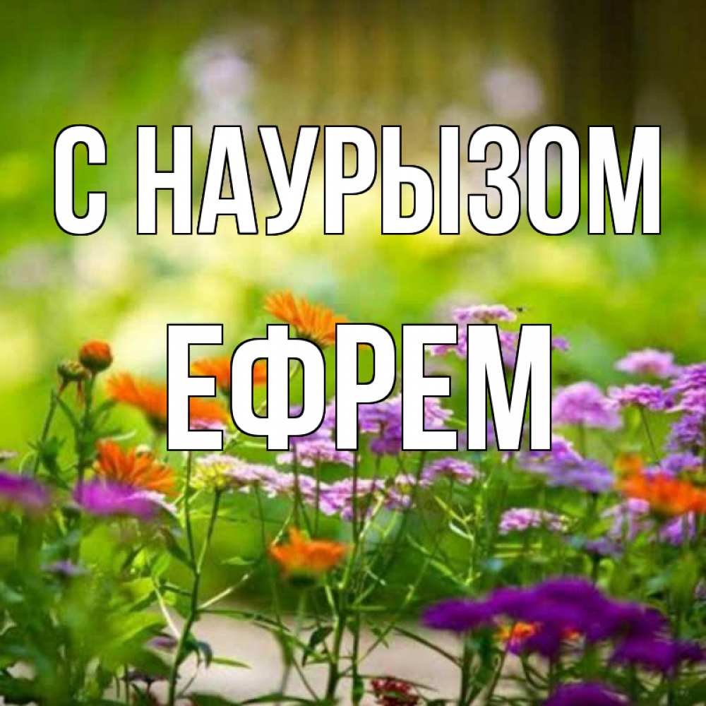 Открытка на каждый день с именем, Ефрем С наурызом цветы Прикольная открытка с пожеланием онлайн скачать бесплатно 