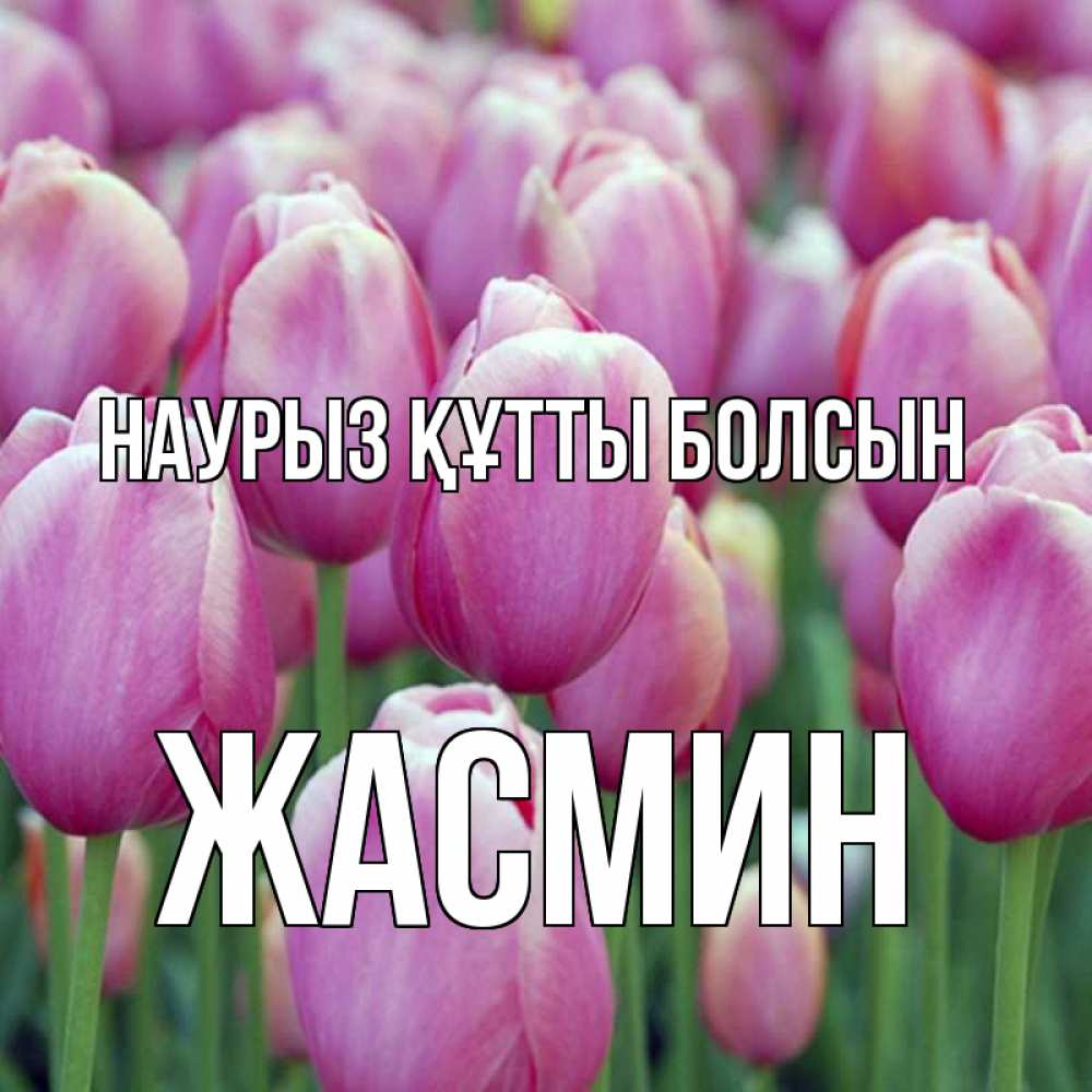 Открытка на каждый день с именем, Жасмин Наурыз құтты болсын на наурыз  день 3 Прикольная открытка с пожеланием онлайн скачать бесплатно 