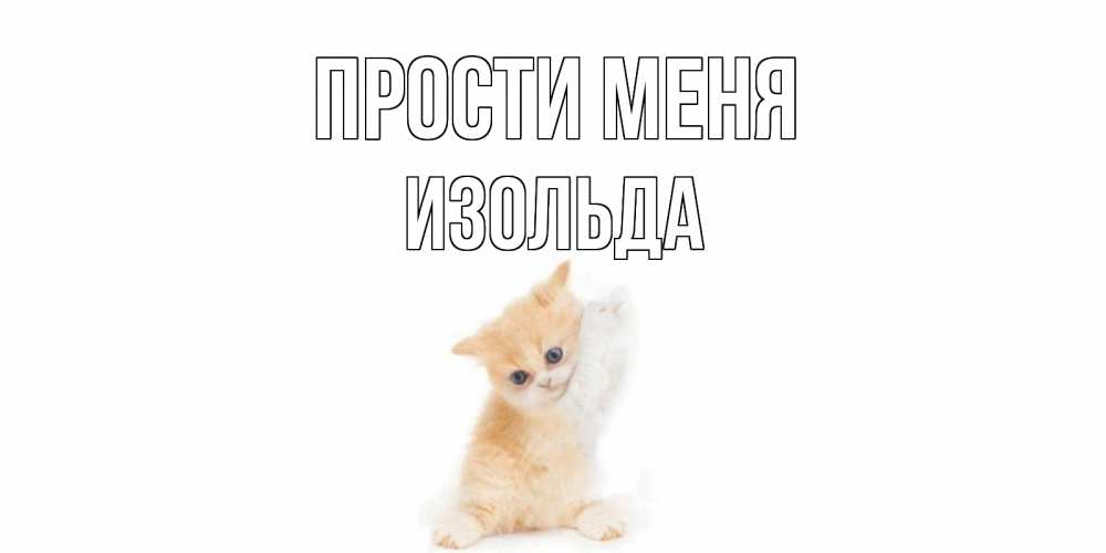 Открытка на каждый день с именем, Изольда Прости меня кот Прикольная открытка с пожеланием онлайн скачать бесплатно 