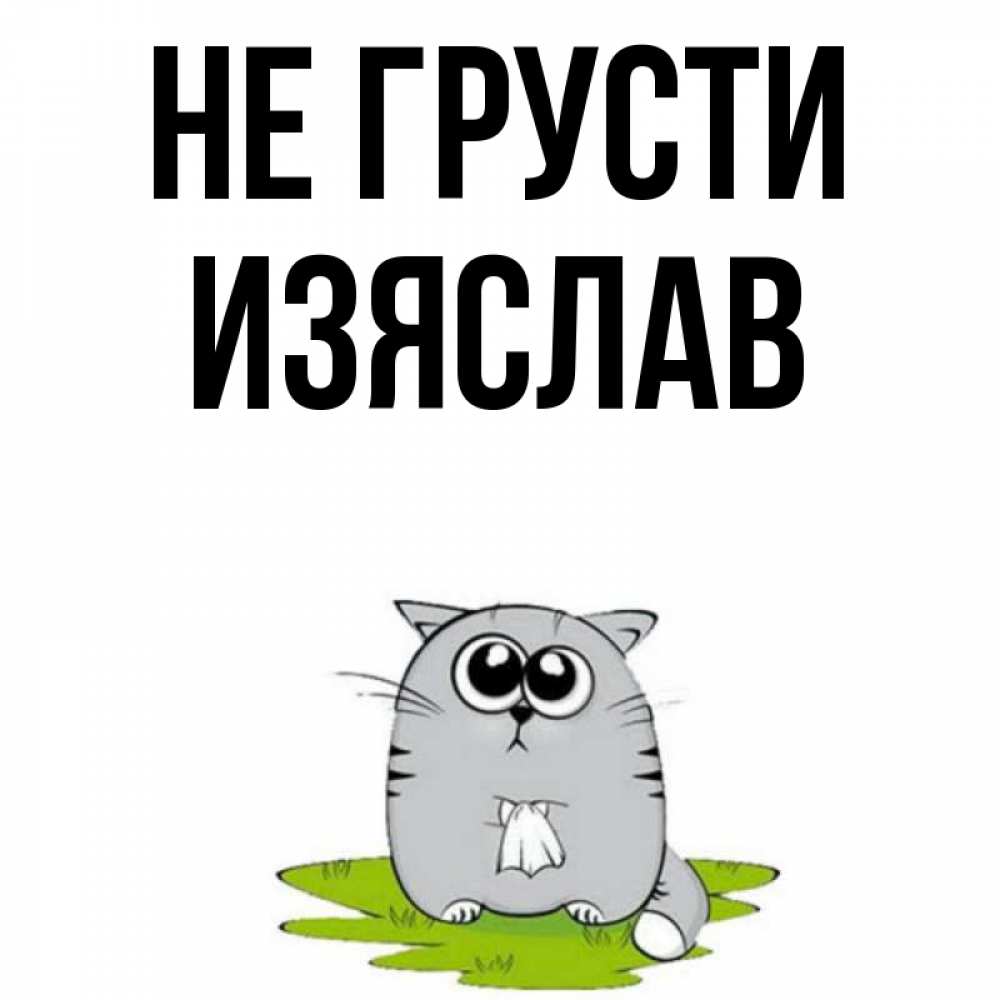 Открытка на каждый день с именем, Изяслав Не грусти грустный котяра Прикольная открытка с пожеланием онлайн скачать бесплатно 