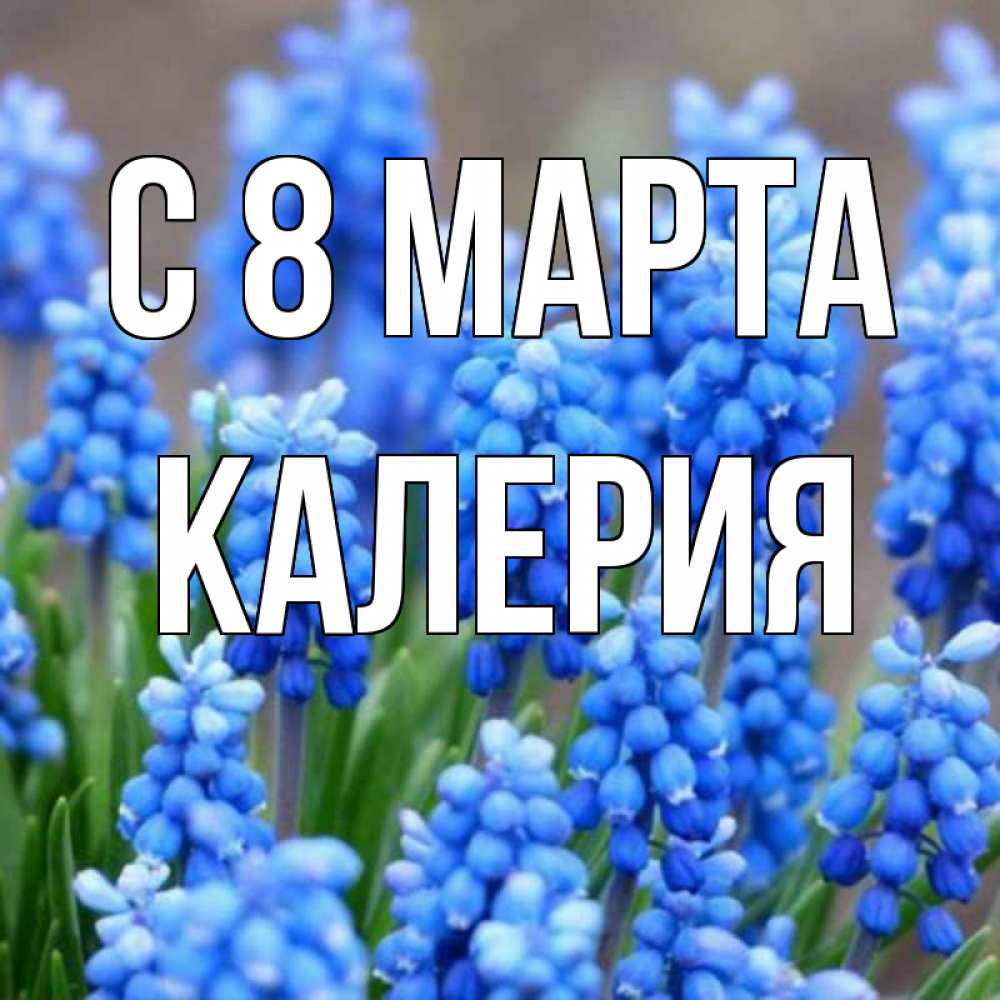 Открытка на каждый день с именем, Калерия С 8 МАРТА Поздравительная открытка для женщин с цветами на праздничную дату Прикольная открытка с пожеланием онлайн скачать бесплатно 