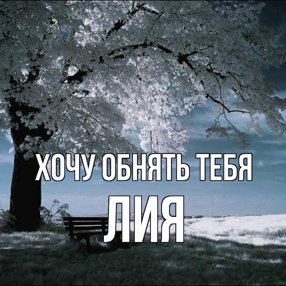 Открытка на каждый день с именем, Лия Хочу обнять тебя дерево Прикольная открытка с пожеланием онлайн скачать бесплатно 