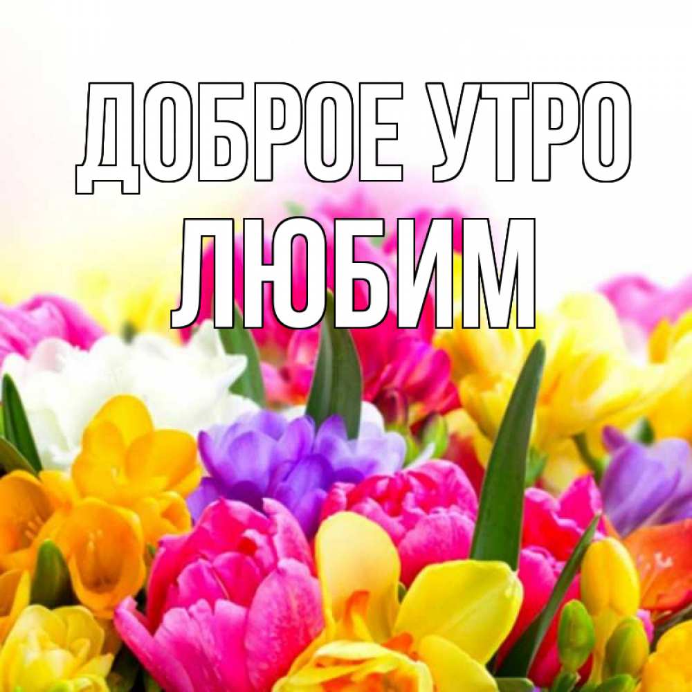 Открытка на каждый день с именем, Любим Доброе утро создать открытку со свое подписью Прикольная открытка с пожеланием онлайн скачать бесплатно 