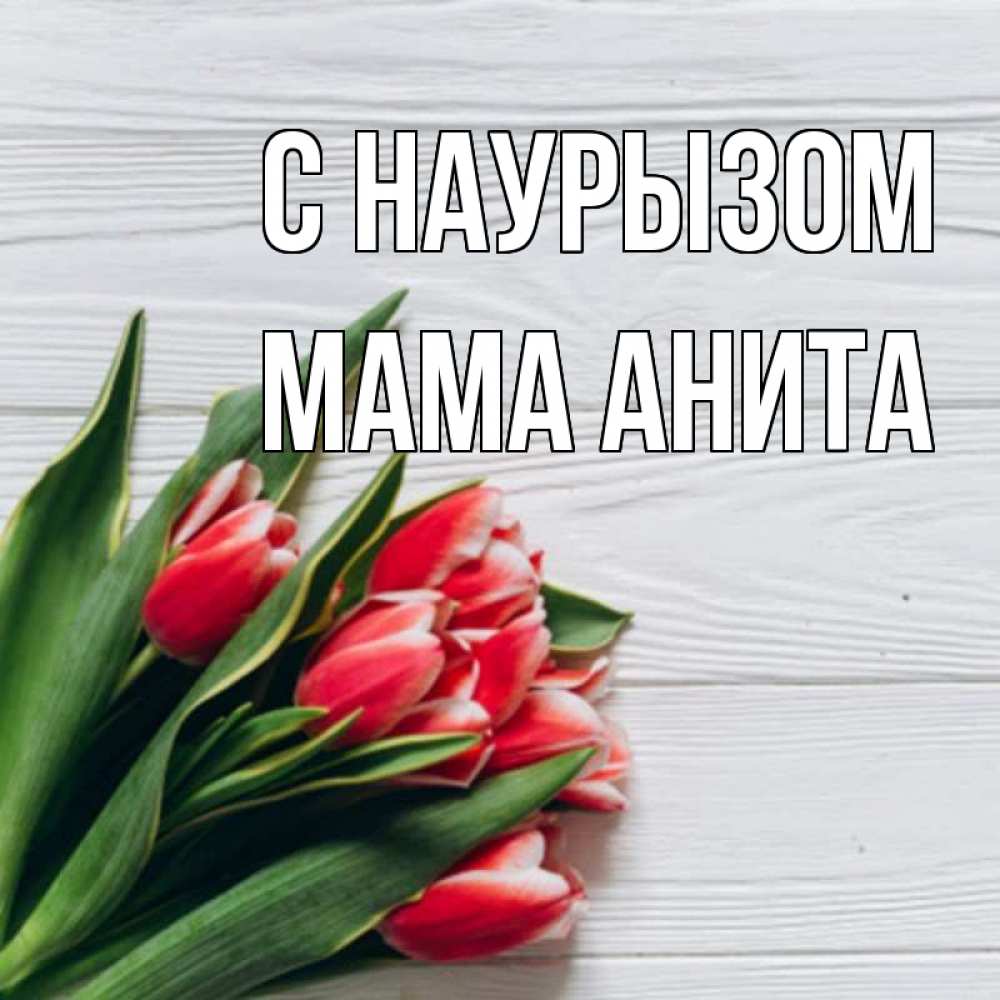 Открытка на каждый день с именем, Мама-Анита С наурызом весна 2 Прикольная открытка с пожеланием онлайн скачать бесплатно 