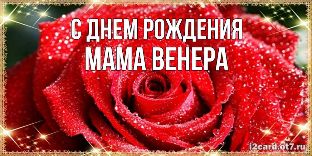 Открытка на каждый день с именем, Мама-Венера С днем рождения роса и роза. открытка с красивой розой Прикольная открытка с пожеланием онлайн скачать бесплатно 