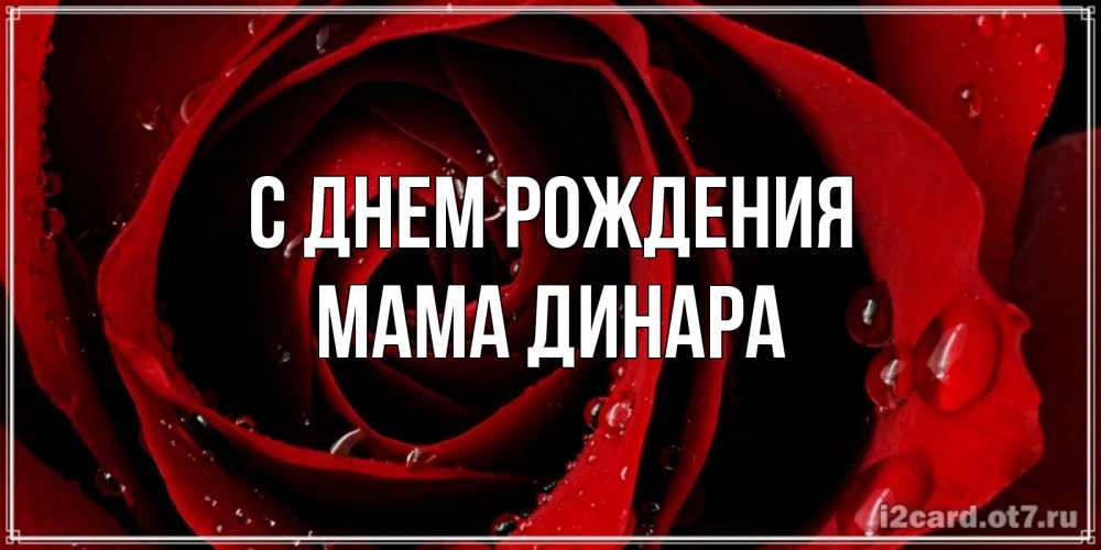 Открытка на каждый день с именем, Мама-Динара С днем рождения крупная бордовая роза Прикольная открытка с пожеланием онлайн скачать бесплатно 