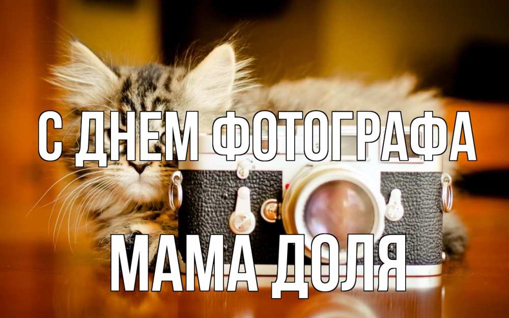 Открытка на каждый день с именем, Мама-Доля С днем фотографа с днем фотографа Прикольная открытка с пожеланием онлайн скачать бесплатно 
