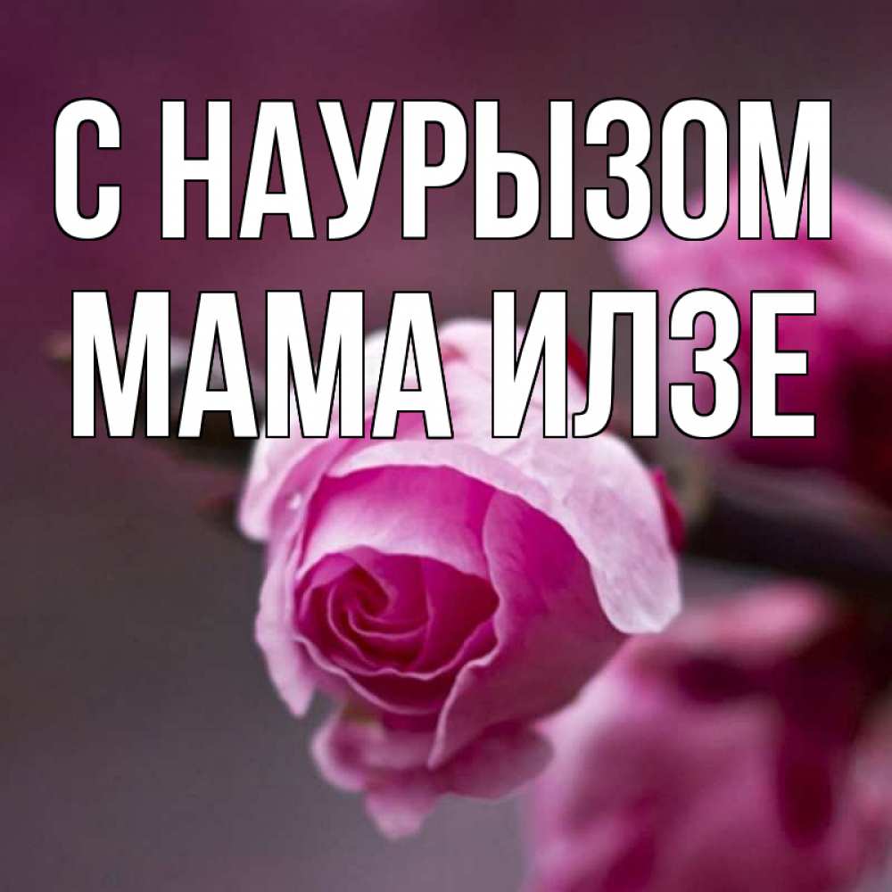Открытка на каждый день с именем, Мама-Илзе С наурызом весна Прикольная открытка с пожеланием онлайн скачать бесплатно 