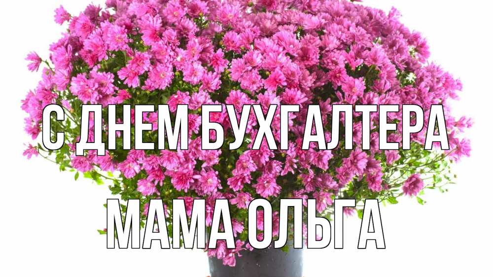 Открытка на каждый день с именем, Мама-Ольга С днем бухгалтера с днем бухгалтера Прикольная открытка с пожеланием онлайн скачать бесплатно 