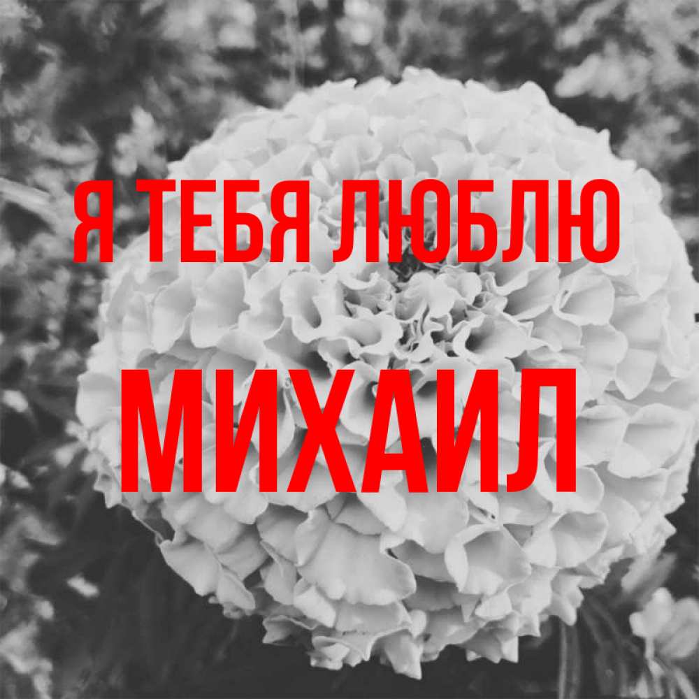 Открытка на каждый день с именем, Михаил Я тебя люблю подпись Прикольная открытка с пожеланием онлайн скачать бесплатно 