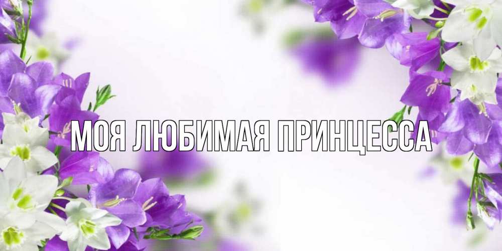 Открытка на каждый день с именем, Моя-Любимая-Принцесса Главная открытка на день рождения с сиреневыми цветами Прикольная открытка с пожеланием онлайн скачать бесплатно 