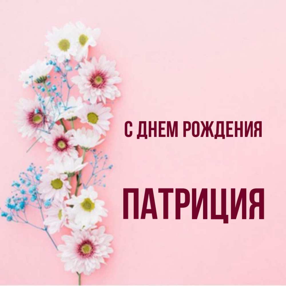 Открытка на каждый день с именем, Патриция С днем рождения Родная моя с днем рождения тебя картинка с цветами белыми и голубыми Прикольная открытка с пожеланием онлайн скачать бесплатно 