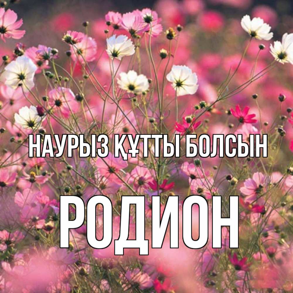 Открытка на каждый день с именем, Родион Наурыз құтты болсын красиво 1 Прикольная открытка с пожеланием онлайн скачать бесплатно 