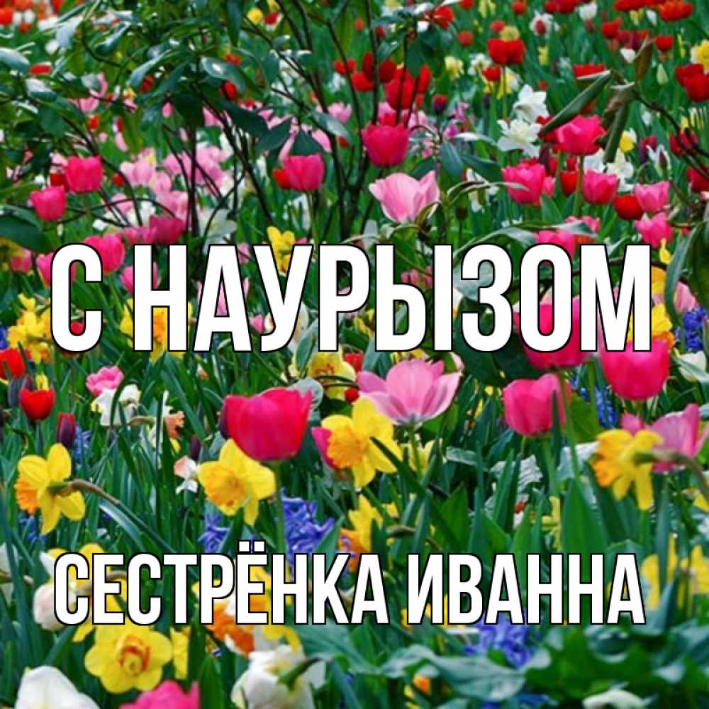 Открытка на каждый день с именем, Сестрёнка-Иванна С наурызом с наурызом праздником весны поздравления для женщины Прикольная открытка с пожеланием онлайн скачать бесплатно 