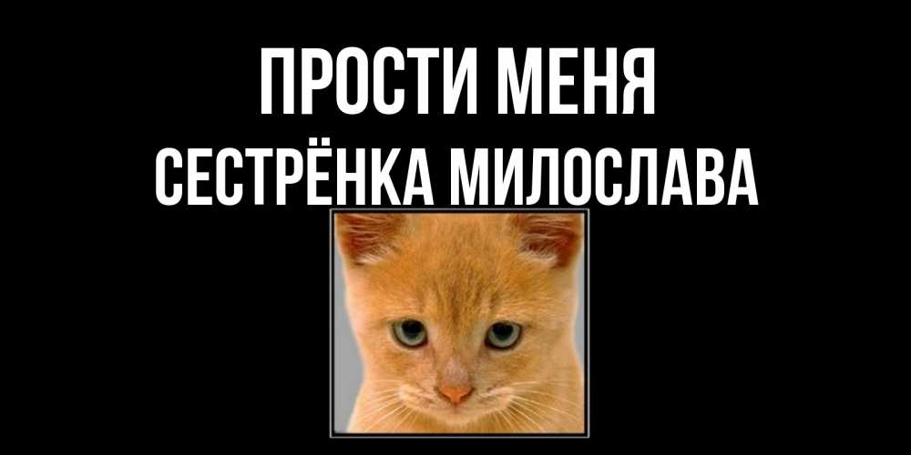 Открытка на каждый день с именем, Сестрёнка-Милослава Прости меня рыжий грустный кот просит прощения Прикольная открытка с пожеланием онлайн скачать бесплатно 