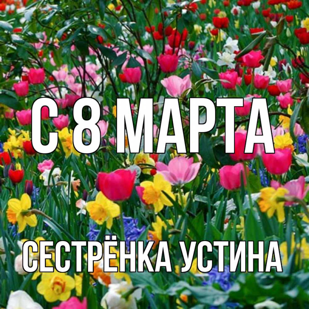 Открытка на каждый день с именем, Сестрёнка-Устина С 8 МАРТА с международным женским днем поздравления для женщины Прикольная открытка с пожеланием онлайн скачать бесплатно 