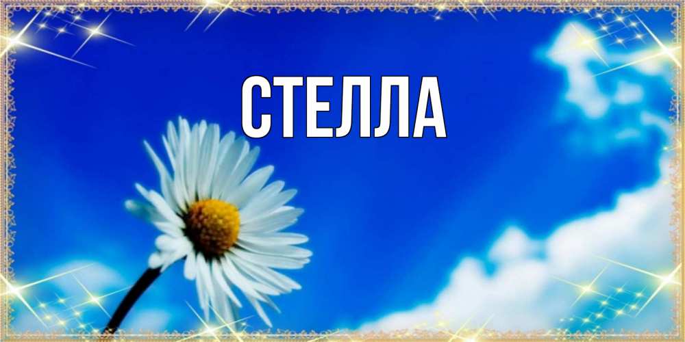Открытка на каждый день с именем, Стелла Главная красивая открытка в синих тонах Прикольная открытка с пожеланием онлайн скачать бесплатно 