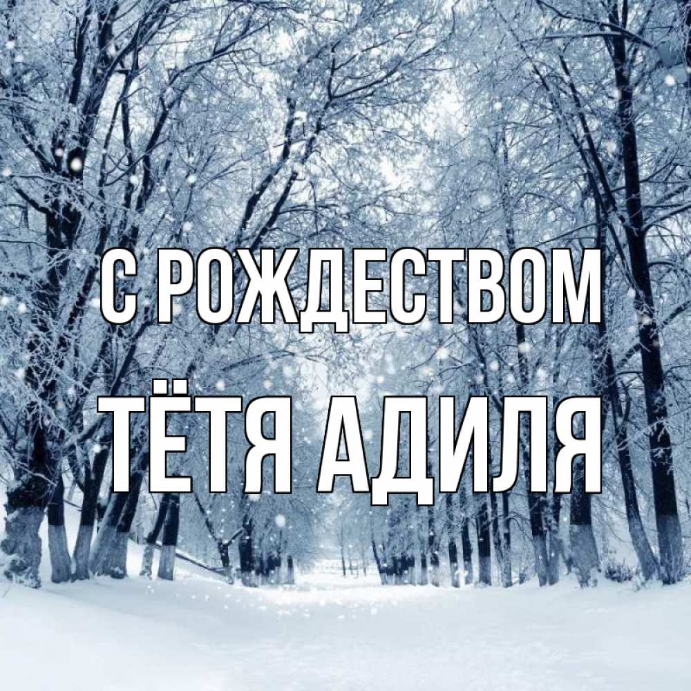 Открытка на каждый день с именем, Тётя-Адиля С рождеством снег, лес, парк Прикольная открытка с пожеланием онлайн скачать бесплатно 