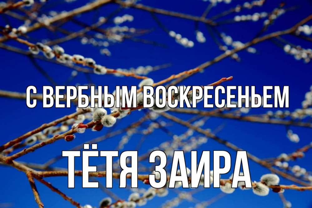 Открытка на каждый день с именем, Тётя-Заира С вербным воскресеньем верба Прикольная открытка с пожеланием онлайн скачать бесплатно 