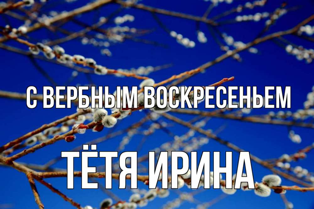 Открытка на каждый день с именем, Тётя-Ирина С вербным воскресеньем верба Прикольная открытка с пожеланием онлайн скачать бесплатно 