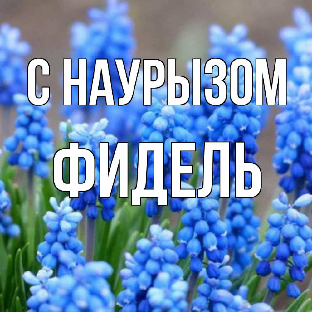 Открытка на каждый день с именем, Фидель С наурызом Поздравительная открытка для женщин с цветами на праздничную дату Прикольная открытка с пожеланием онлайн скачать бесплатно 