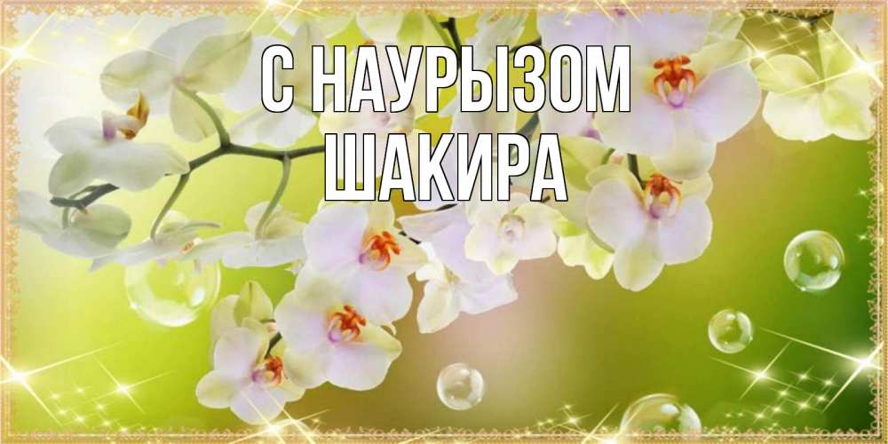 Открытка на каждый день с именем, Шакира С наурызом открытка с цветами на международный женский день Прикольная открытка с пожеланием онлайн скачать бесплатно 
