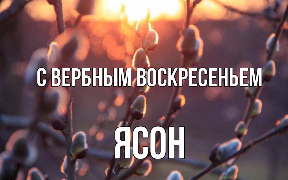 Открытка на каждый день с именем, Ясон С вербным воскресеньем верба Прикольная открытка с пожеланием онлайн скачать бесплатно 
