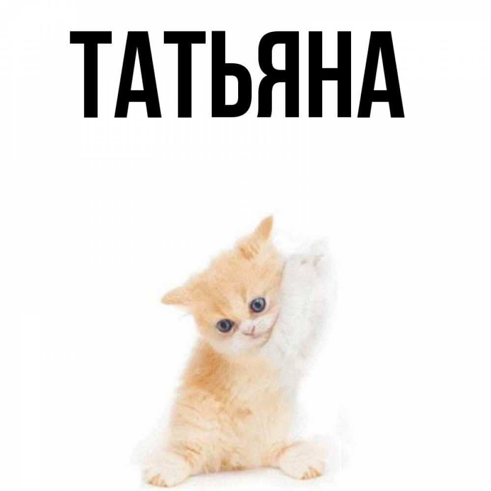 Анимашка надпись, имя татьяна смешные картинки