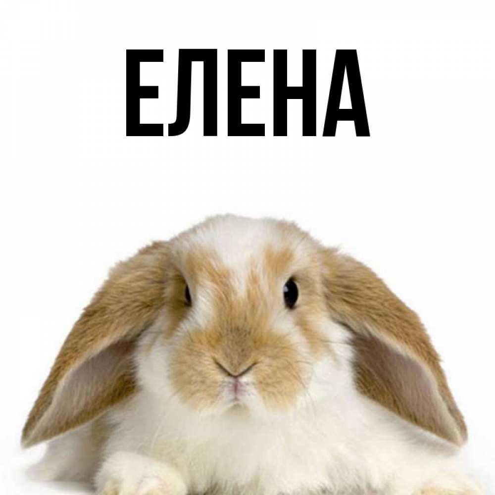 Поздравления, картинка с именем елена 43