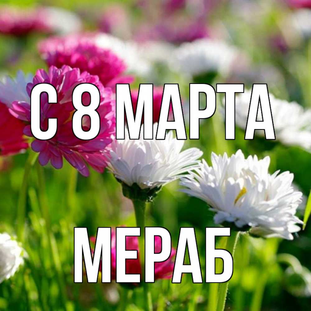 Открытка на каждый день с именем, Мераб С 8 МАРТА международный женский день 1 Прикольная открытка с пожеланием онлайн скачать бесплатно 