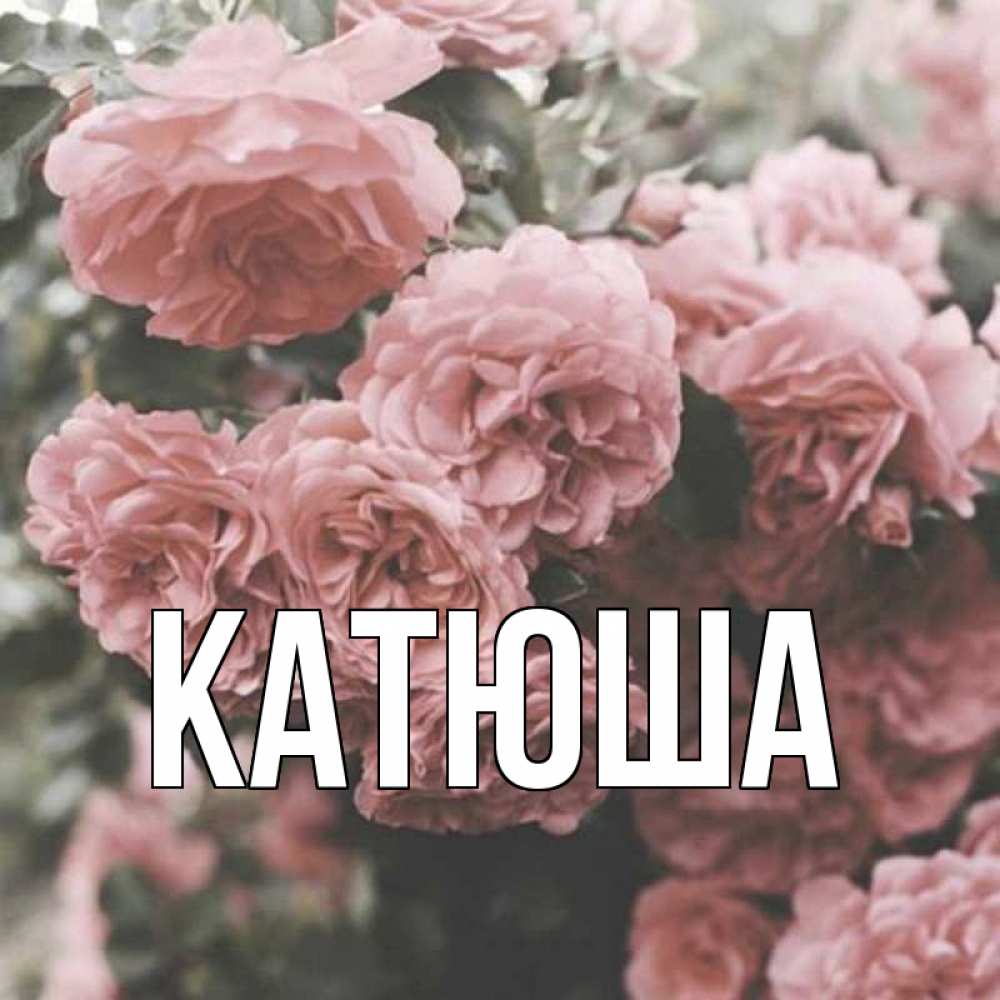 Открытка на каждый день с именем, Катюша Главная розы 3 Прикольная открытка с пожеланием онлайн скачать бесплатно 