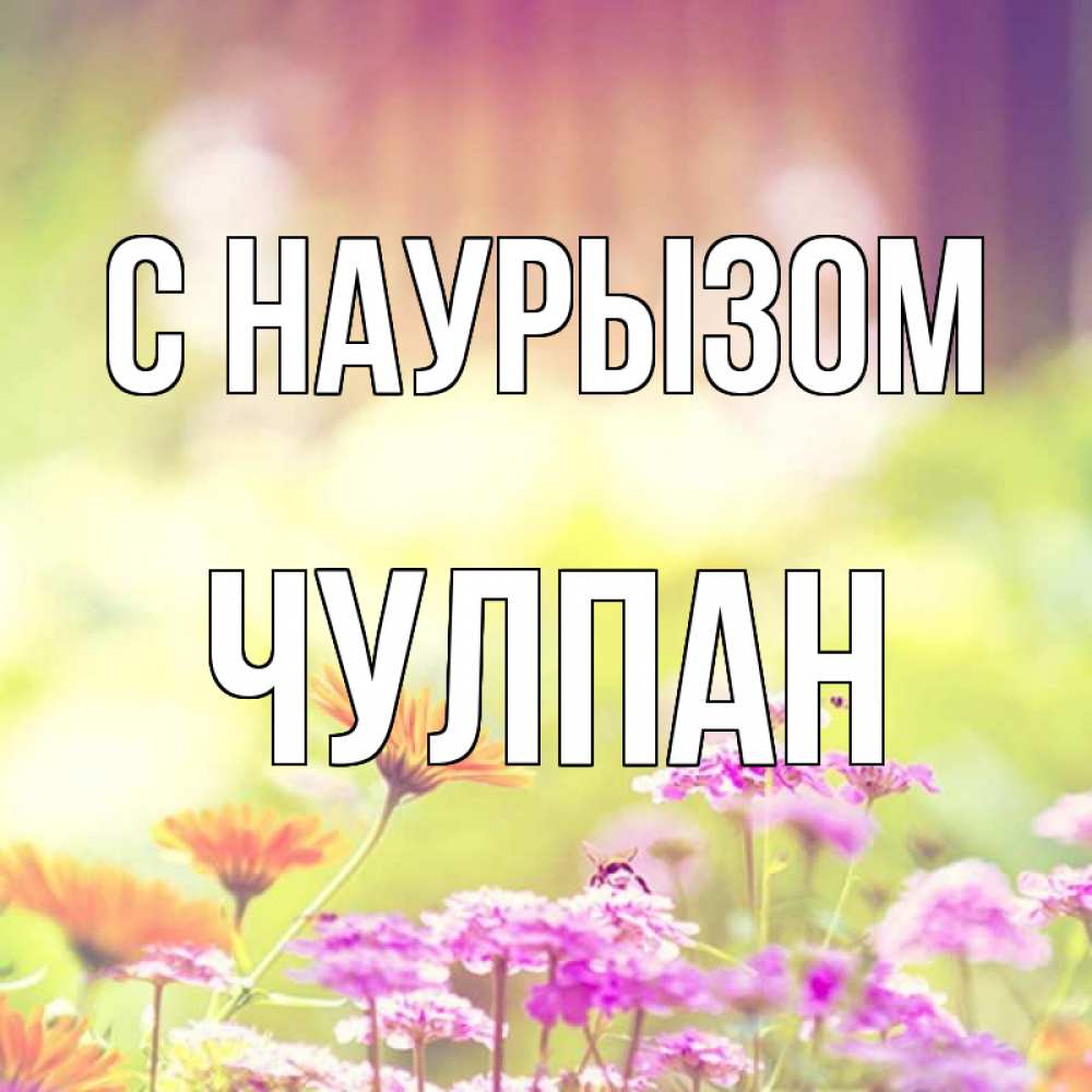 Открытка на каждый день с именем, Чулпан С наурызом цветы весна Прикольная открытка с пожеланием онлайн скачать бесплатно 