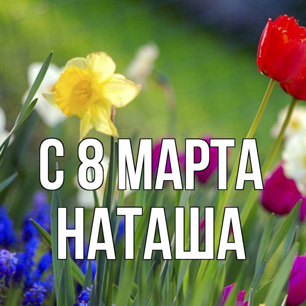 Картинка С 8 МАРТА, наташа