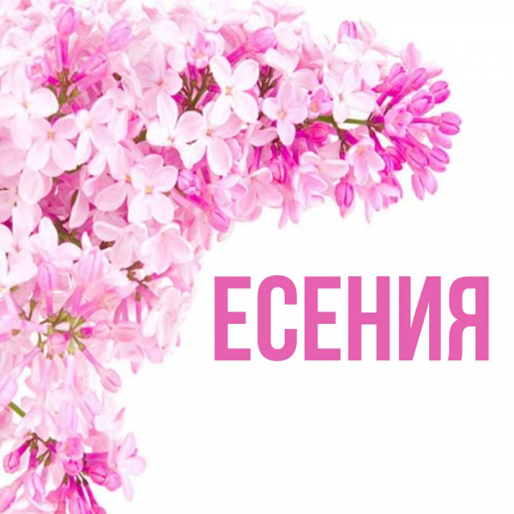 Есения картинки с именем