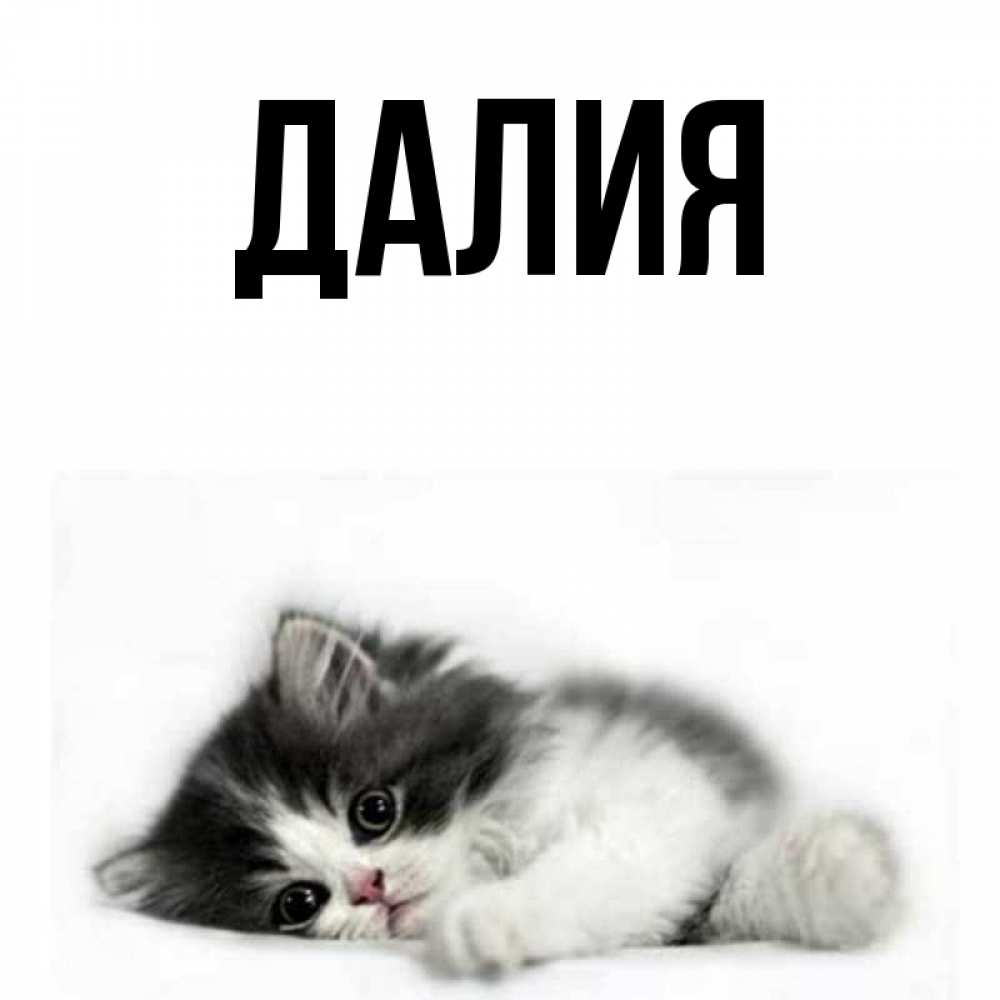 Картинка  с именем , Далия