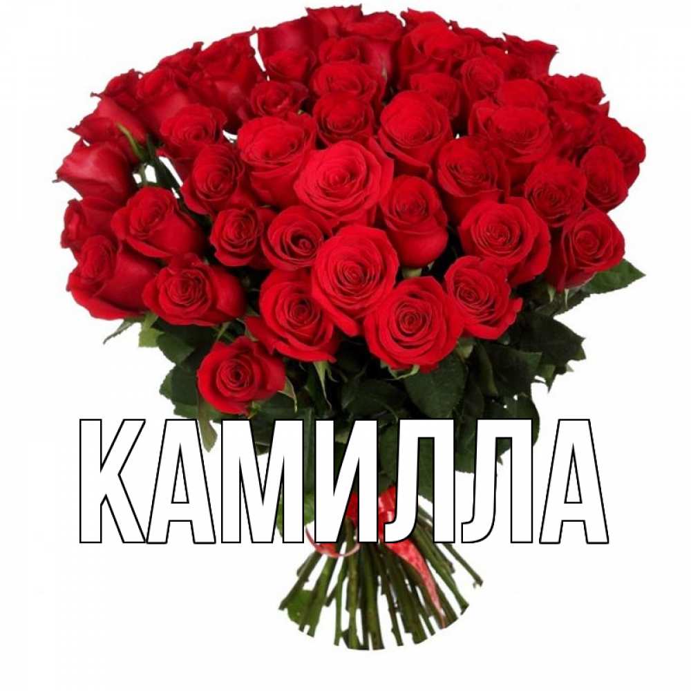 Имя камила картинки