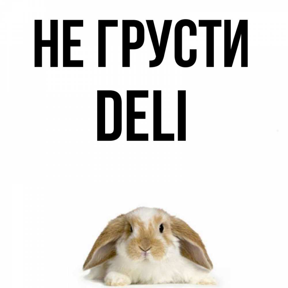 Не грусти зайка картинки