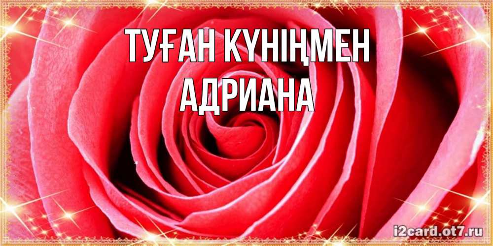 Открытка на каждый день с именем, Адриана Туған күніңмен розовая роза очень крупный бутон Прикольная открытка с пожеланием онлайн скачать бесплатно 