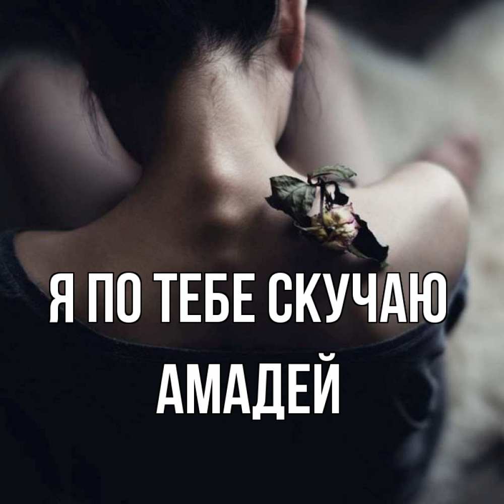 Открытка на каждый день с именем, Амадей Я по тебе скучаю засох цветок Прикольная открытка с пожеланием онлайн скачать бесплатно 