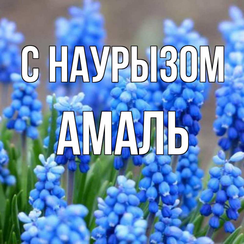 Открытка на каждый день с именем, Амаль С наурызом Поздравительная открытка для женщин с цветами на праздничную дату Прикольная открытка с пожеланием онлайн скачать бесплатно 