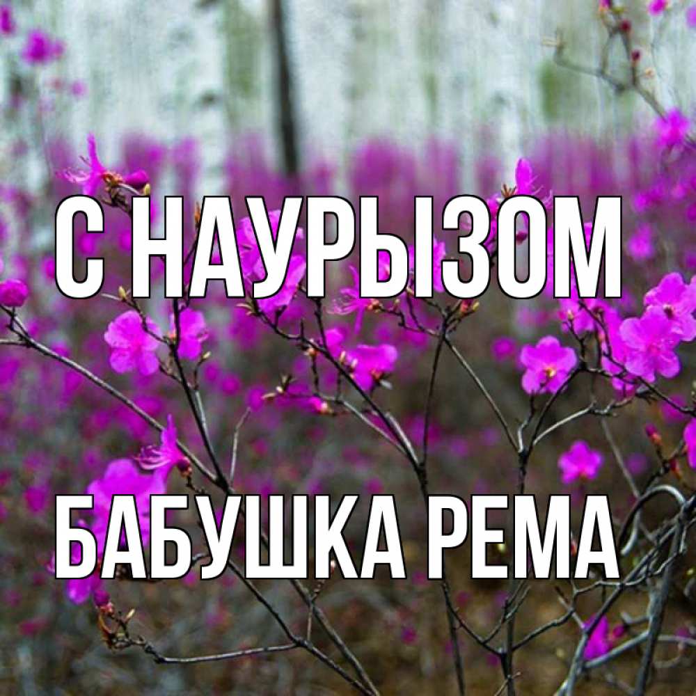 Открытка на каждый день с именем, Бабушка-Рема С наурызом дикие цветы Прикольная открытка с пожеланием онлайн скачать бесплатно 