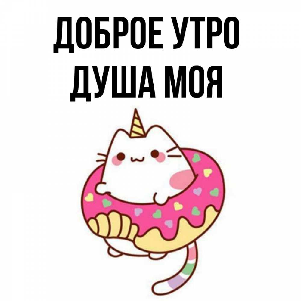 Открытка на каждый день с именем, Душа-моя Доброе утро кот в бублике Прикольная открытка с пожеланием онлайн скачать бесплатно 