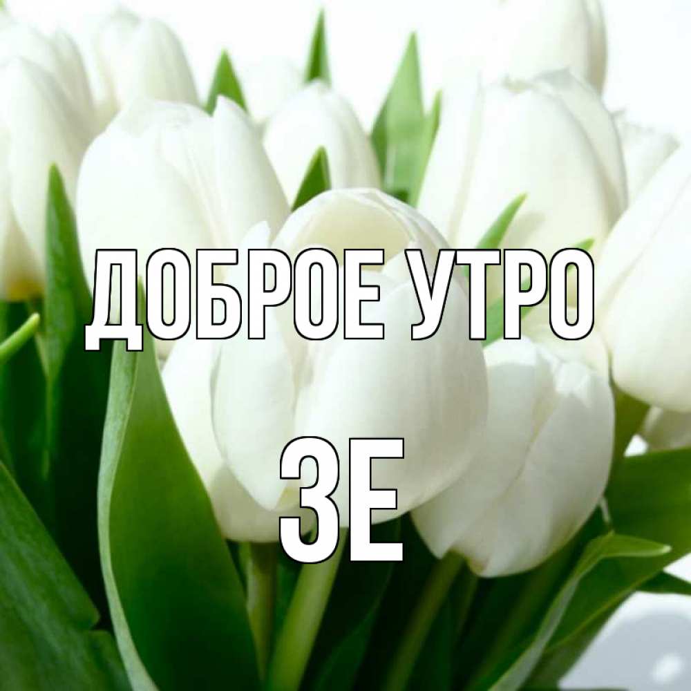 Открытка на каждый день с именем, Зе Доброе утро открытки на каждый день по именам Прикольная открытка с пожеланием онлайн скачать бесплатно 