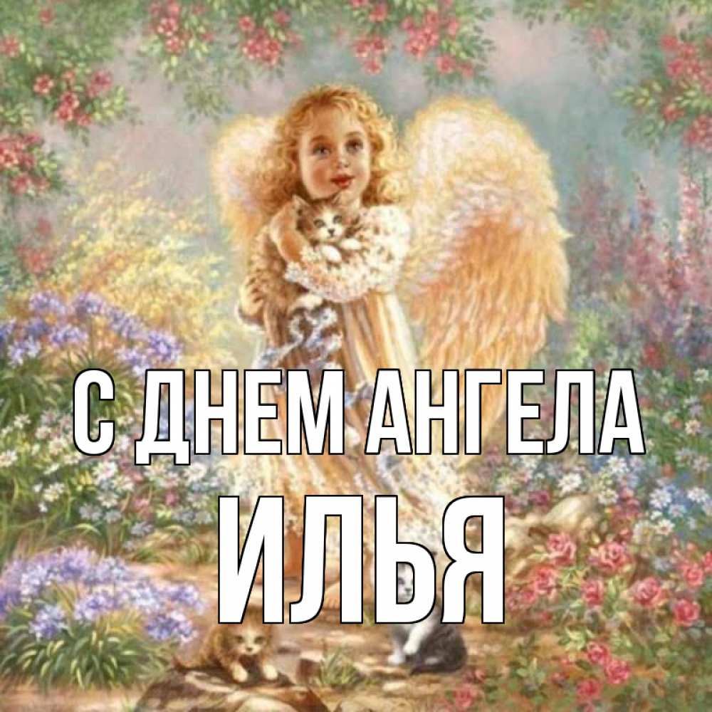Открытка на каждый день с именем, Илья С днем ангела держит котенка Прикольная открытка с пожеланием онлайн скачать бесплатно 