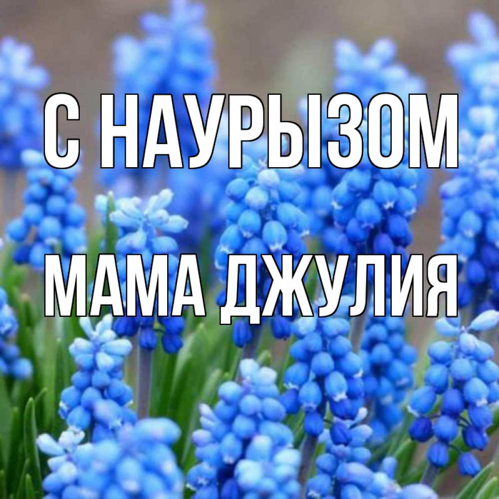 Открытка на каждый день с именем, Мама-Джулия С наурызом Поздравительная открытка для женщин с цветами на праздничную дату Прикольная открытка с пожеланием онлайн скачать бесплатно 