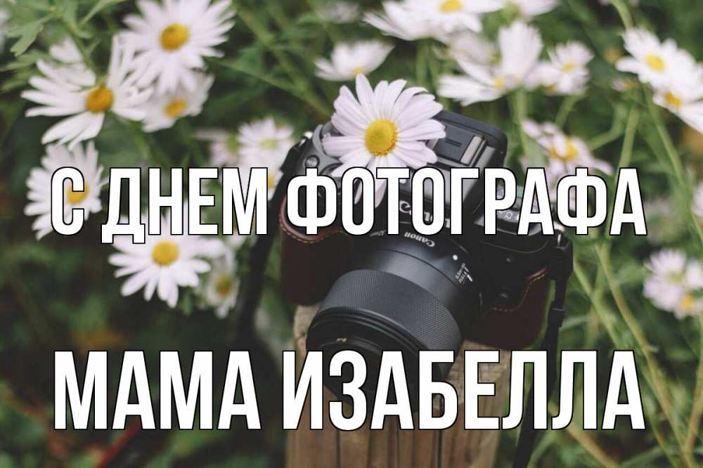 Открытка на каждый день с именем, Мама-Изабелла С днем фотографа с днем фотографа Прикольная открытка с пожеланием онлайн скачать бесплатно 